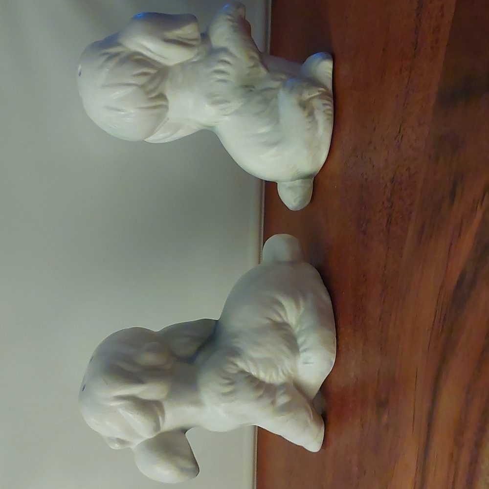 Poodle Salt & Pepper - Picture 3 of 13